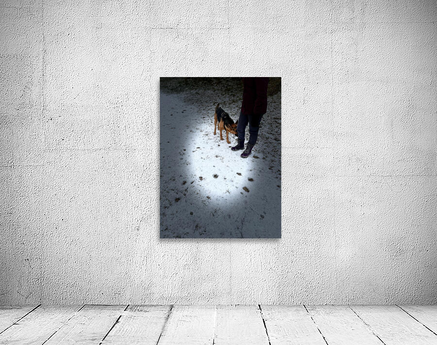 Scenes from the Trail- Hunting for Treats Wall Preview