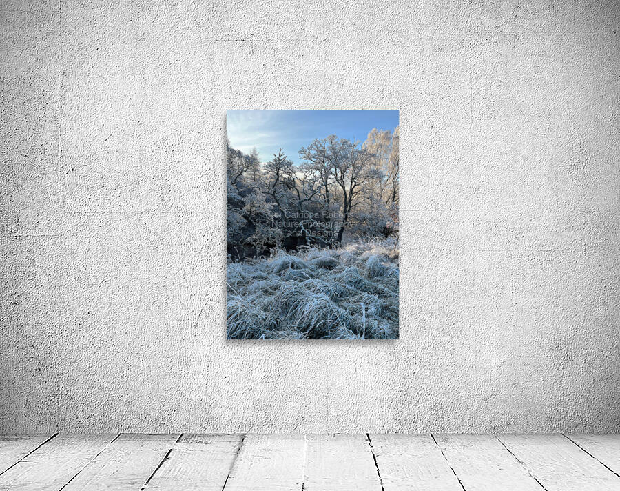 Frosty Nature in the Scottish Highlands  Wall Preview