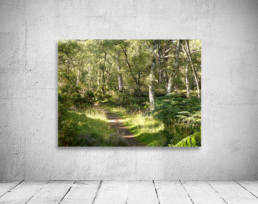 Summers  Golden Path Through the Scottish Highlands Wall Preview