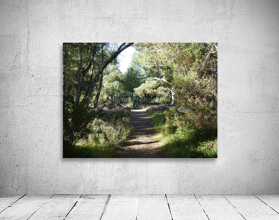 Natures Adventure Path in the Scottish Highlands Wall Preview