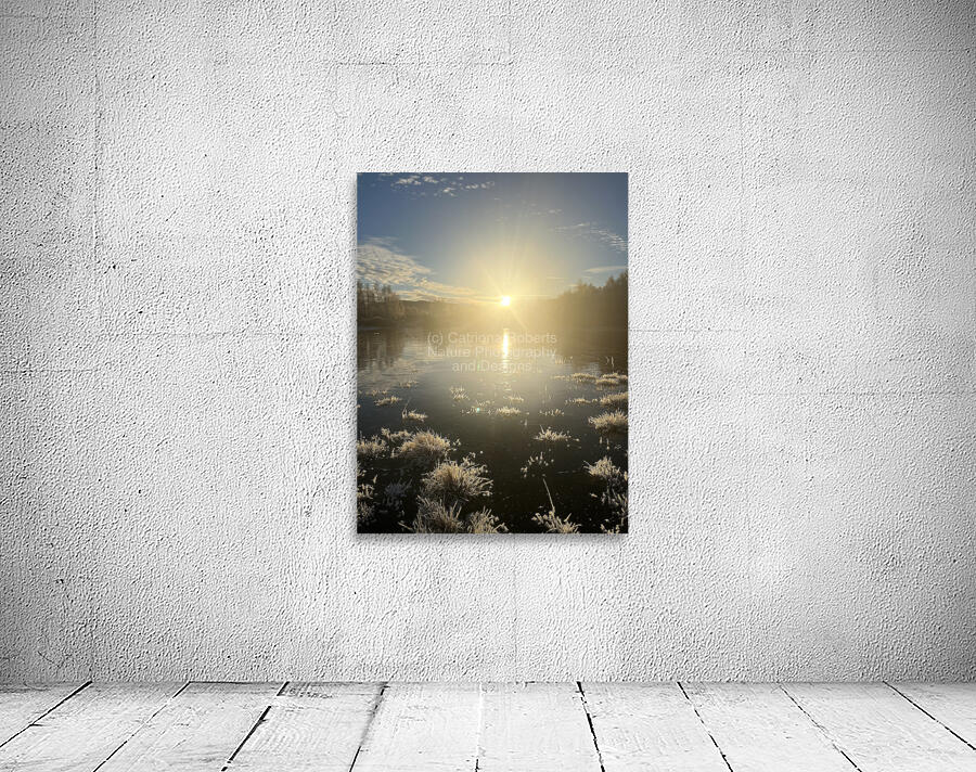 Winters Sun Reflection in the Scottish Highlands Wall Preview