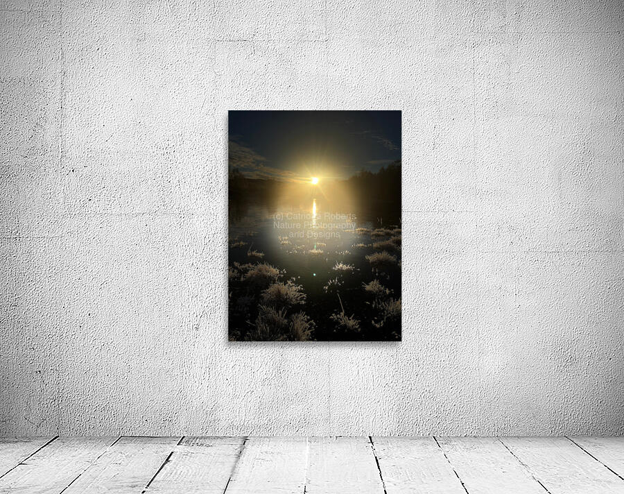 Winters Sun in the Scottish Highlands  Wall Preview