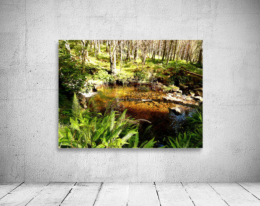 A Secret Summers Retreat in the Scottish Highland Wall Preview