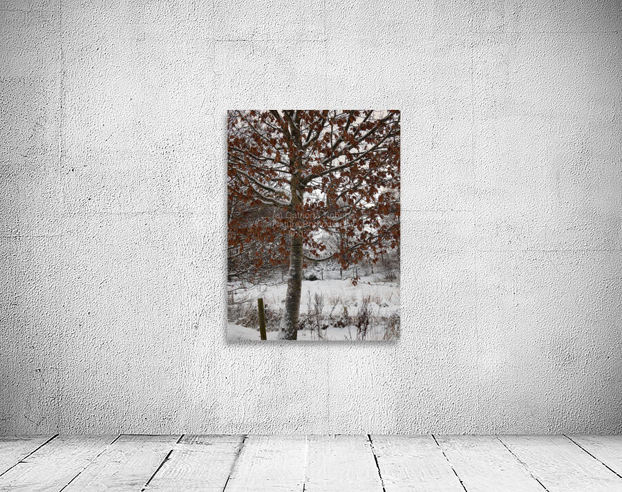 Winter Came Early to the Scottish HIghlands  Wall Preview