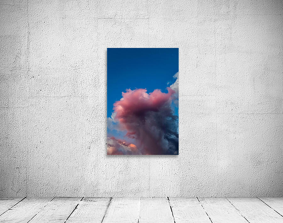 Flying Squid Wall Preview