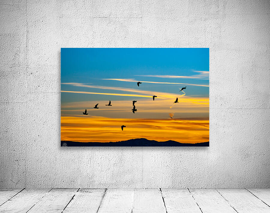 Southbound Wall Preview