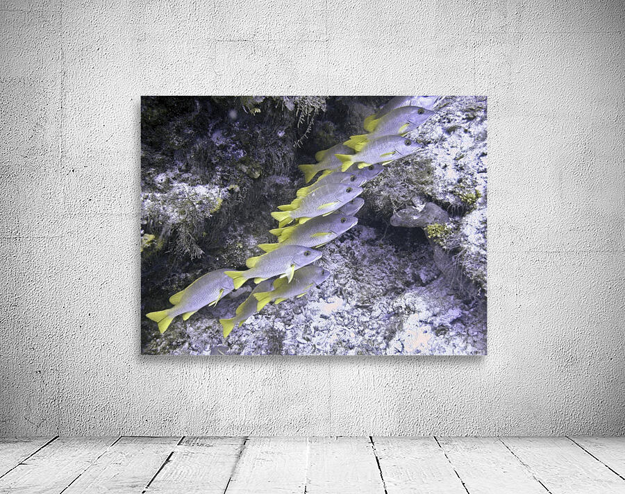 Frowsty Wall Preview