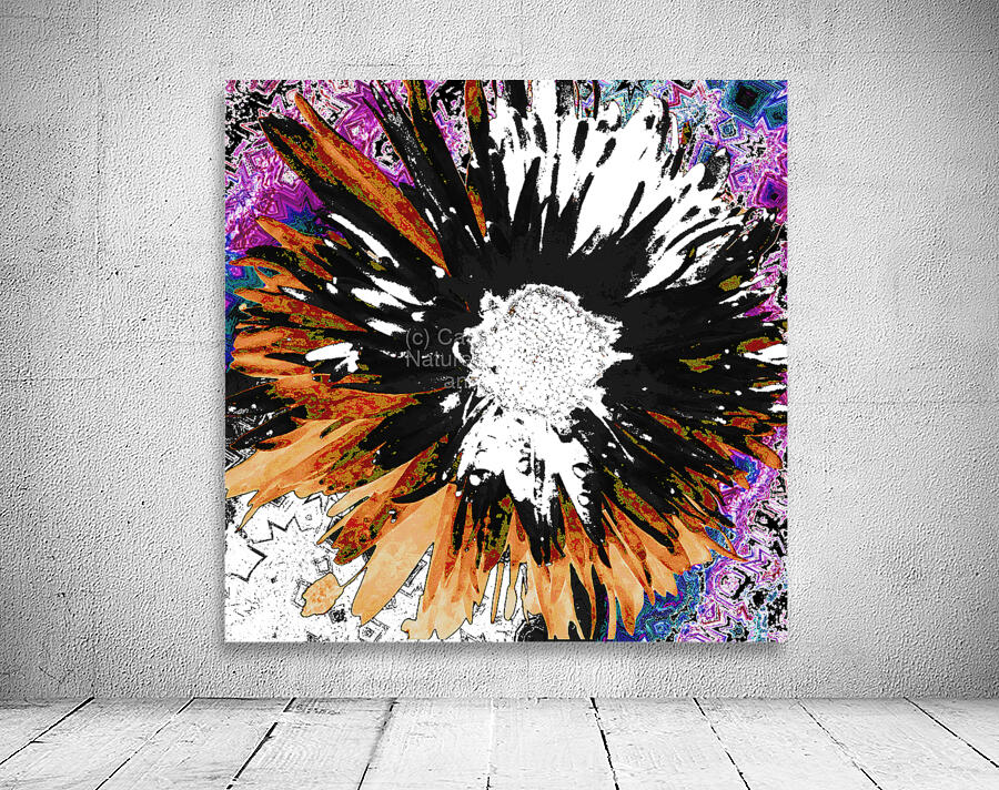 Abstract Dynamic Daisy Flower Wall Preview