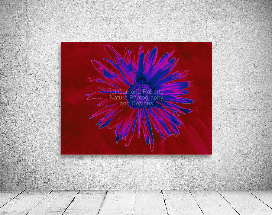 Abstract Neon Daisy Wall Preview