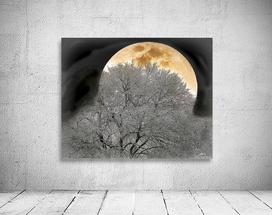 OAK MOON Holt RezN888 by Charles Holt  RezN888