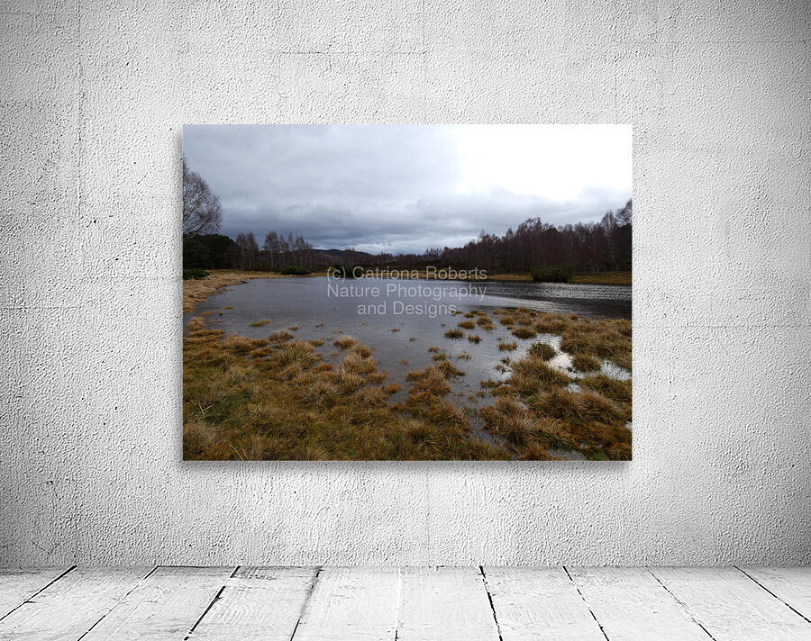 Winters Moody Scottish Highlands  Wall Preview