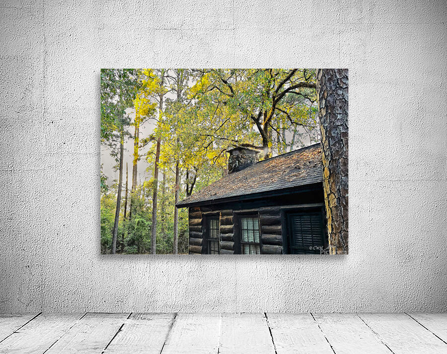 RESPITE CABIN_Holt_RezN888 by Charles Holt  RezN888