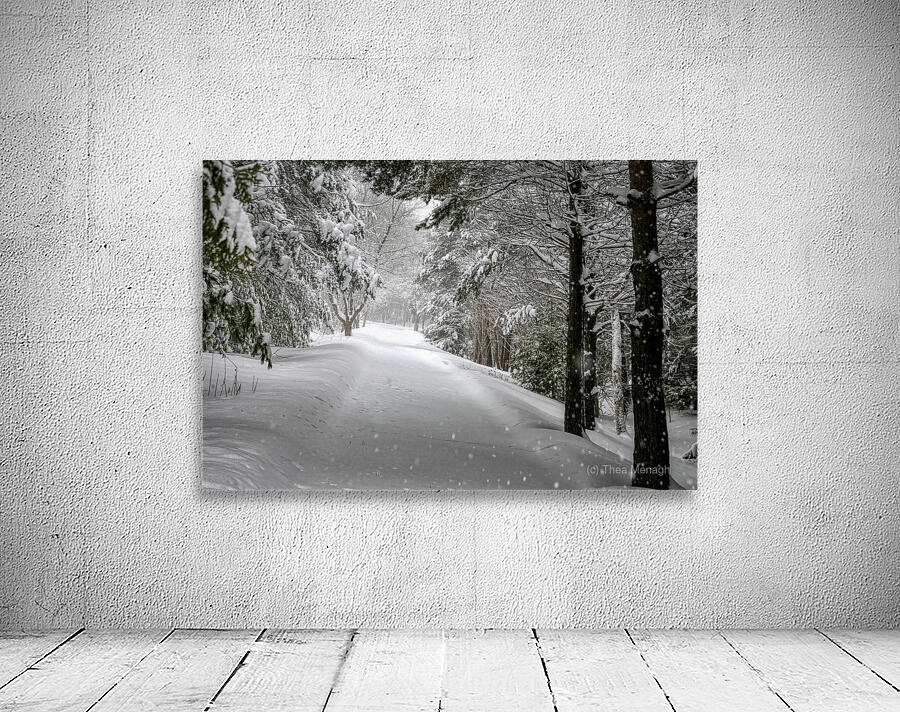 Your Turn to Shovel the Driveway Wall Preview