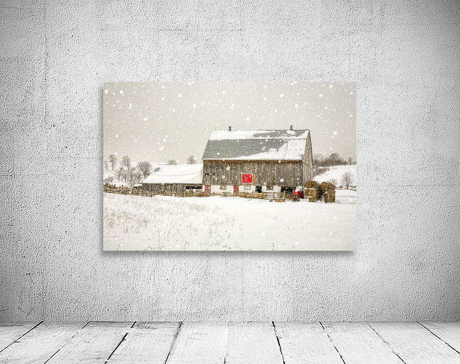 little red square Wall Preview