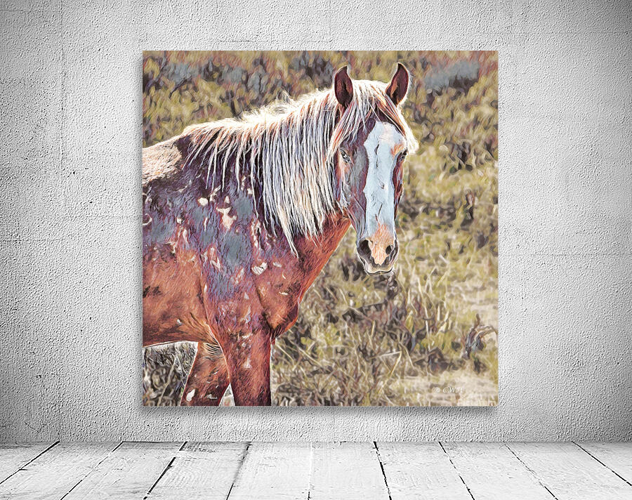 WARHORSE_Holt_RezN888 by Charles Holt  RezN888