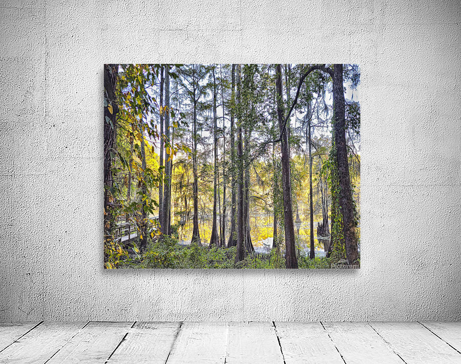 SECRET PLACE - THRU THE TREES_Holt_RezN888 by Charles Holt  RezN888
