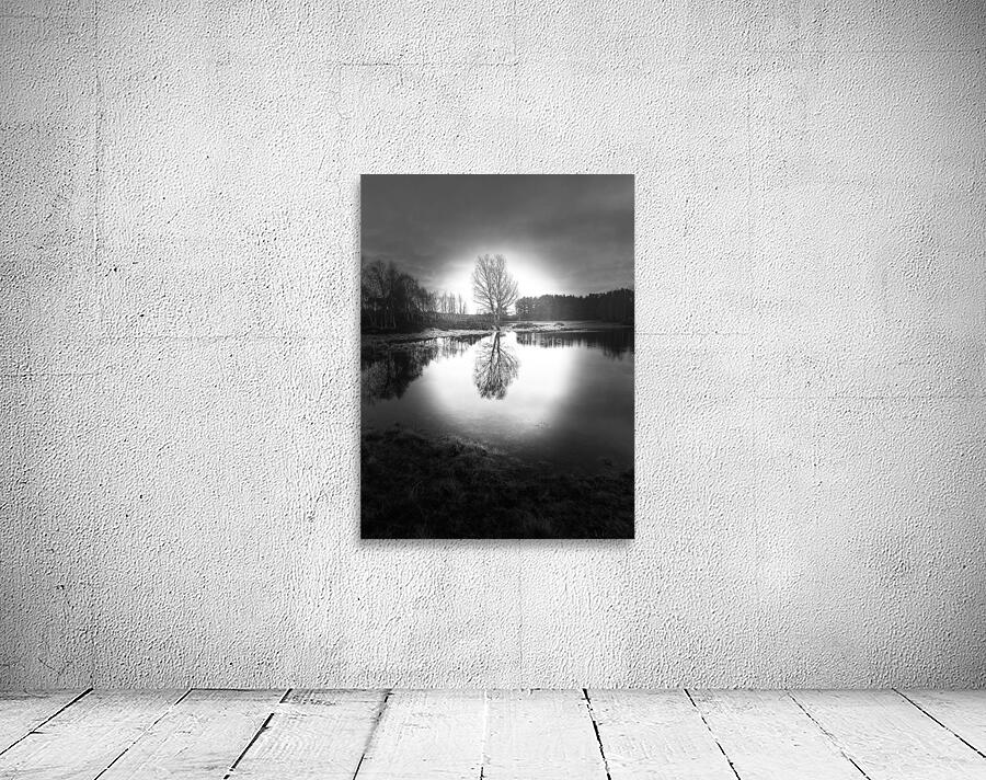 Scenes from the Trail-Winter Birch Tree Reflections in the Scottish Highlands  Wall Preview