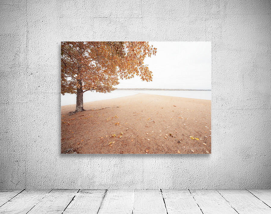 Autumn Landscape 1 Wall Preview