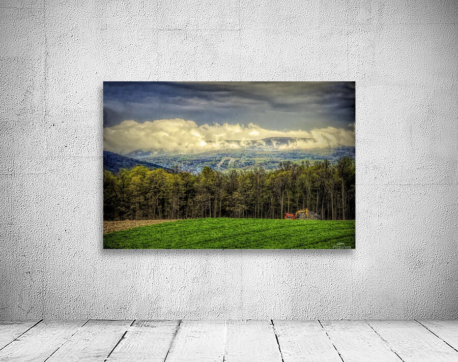 Forest Rainfall Wall Preview