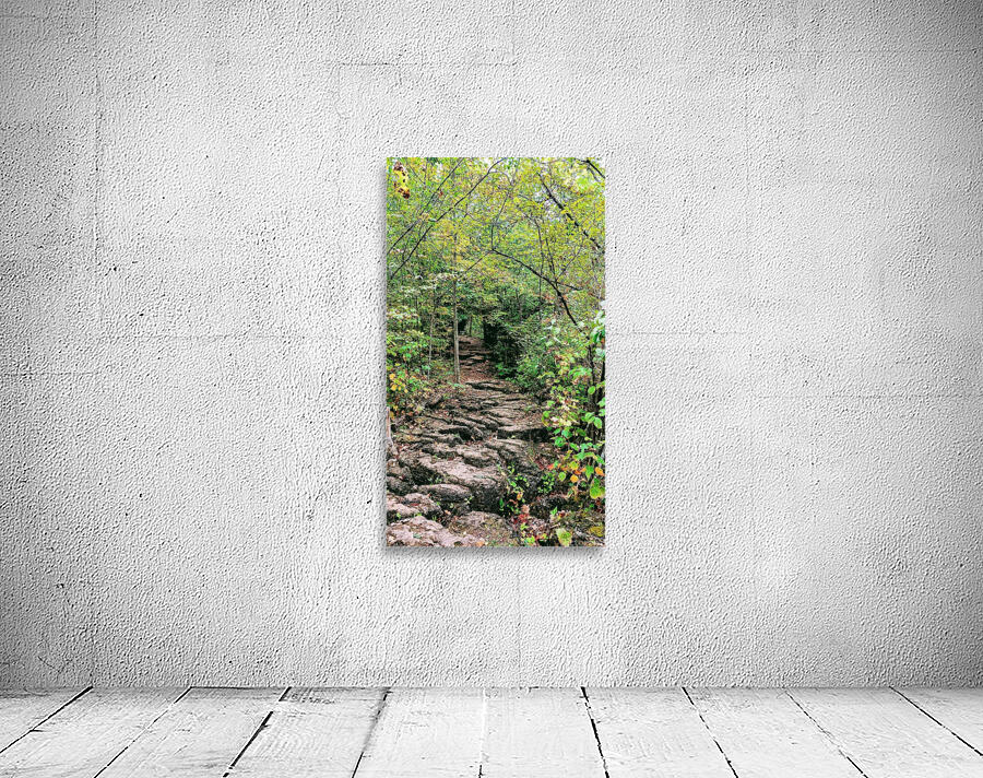 RockyTrail by Neeraj Kumar