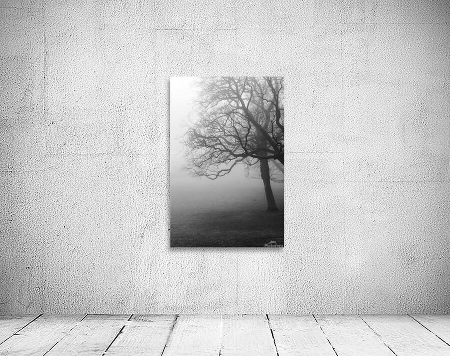 Moody black and white shot of trees in a park on a foggy morning  Wall Preview