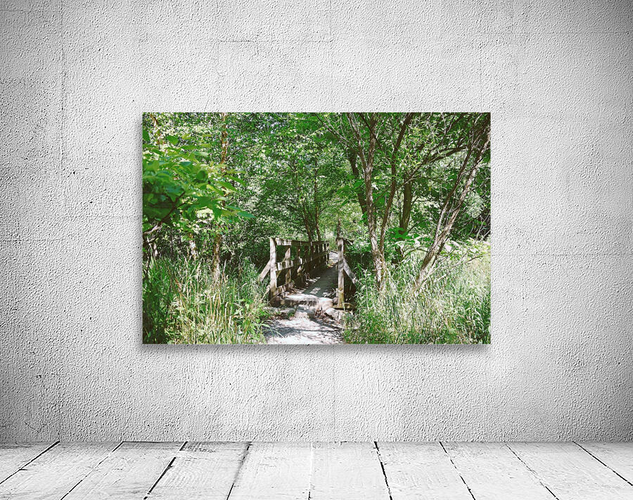 Trail Bridge - 9 Mile Run Wall Preview