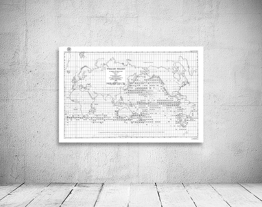 1851 Whale Chart of the World Showing Whale Migration Patterns Ocean ...