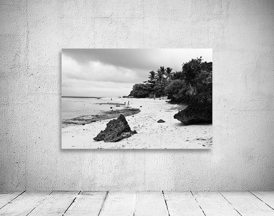 Moalboal Cebu White Sand Beach in Black and White Wall Preview