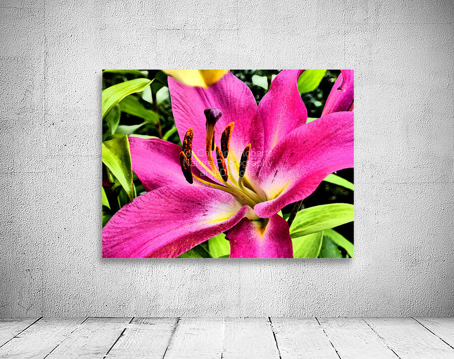Vibrant Lily Wall Preview