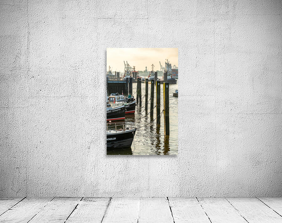 Boats in the historic museum harbor in Hamburg Övelgönne at the Elbe River at sunrise  Wall Preview