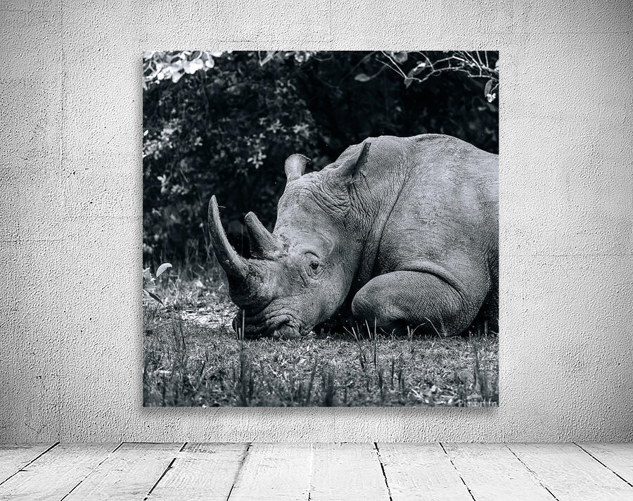 Thanks for Noticin Me Wall Preview