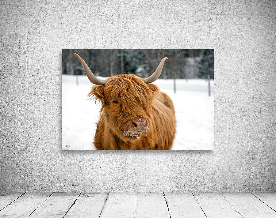 Ginette Wall Preview