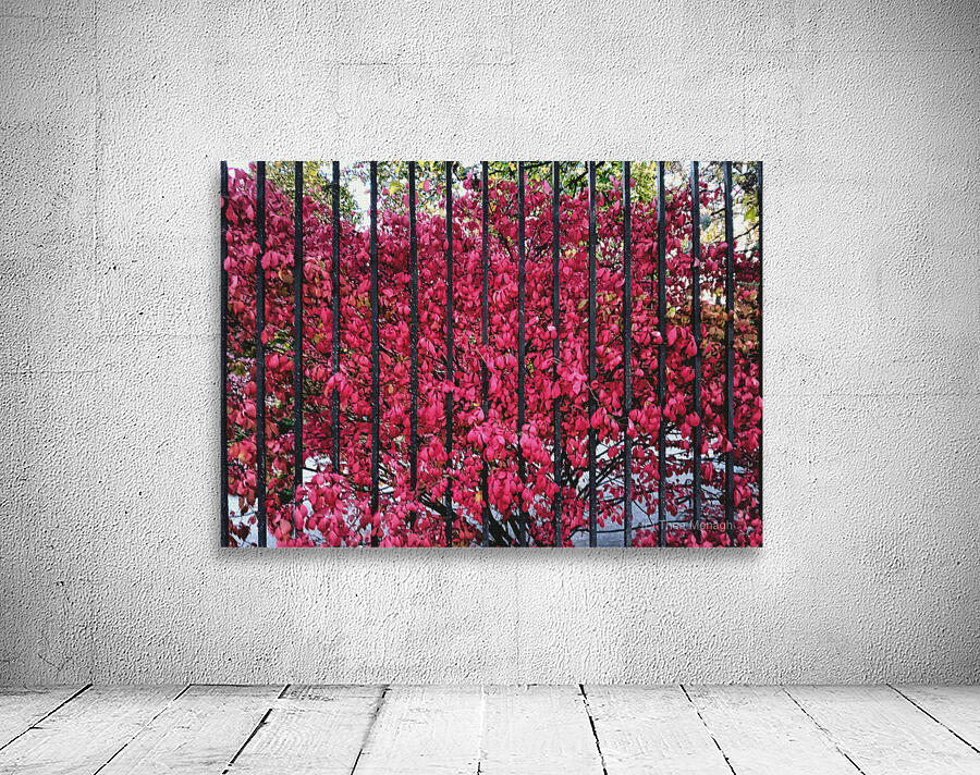 Burning Bush Behind Bars Wall Preview