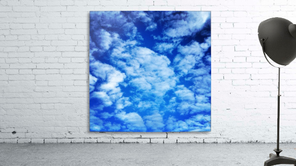 48789057208_143339dbb6_o Wall Preview