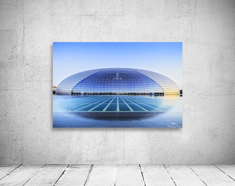 National Centre for the Performing Arts Beijing China Wall Preview