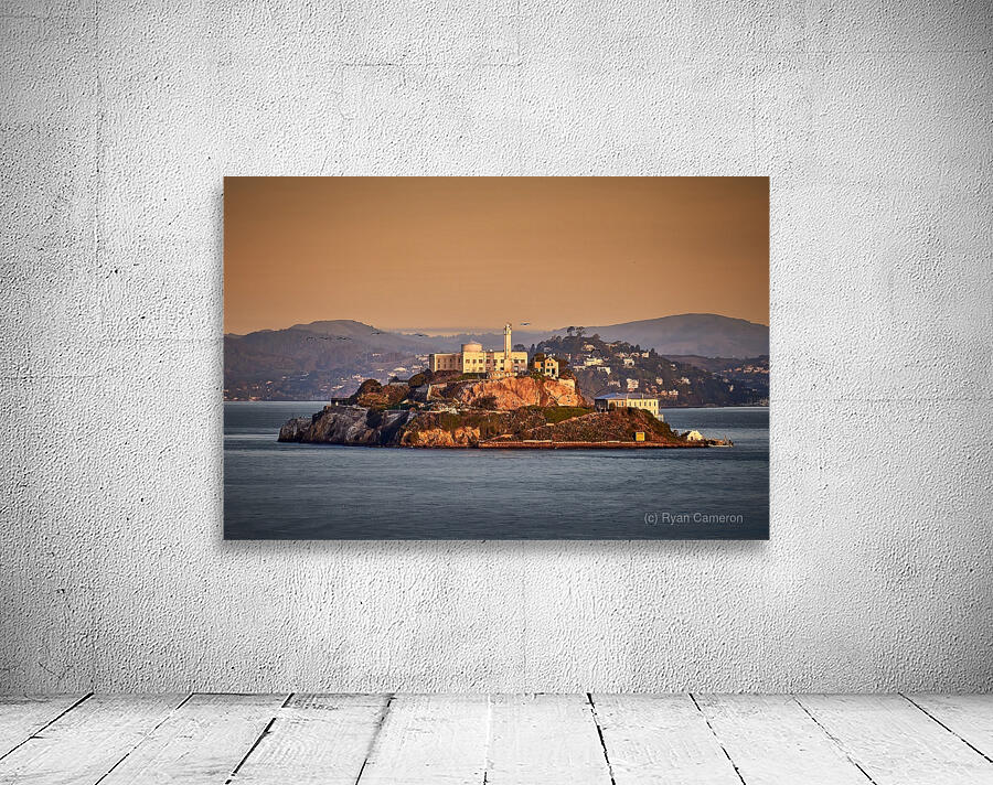 San Francisco Alcatraz Sunrise Birds Wall Preview