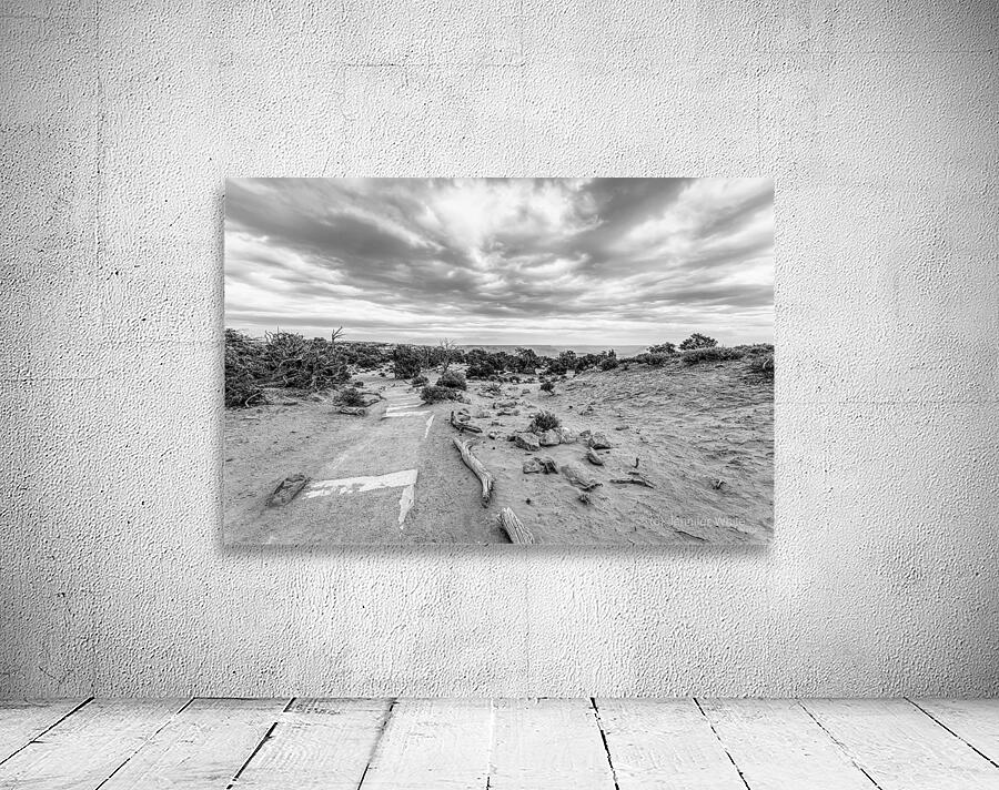 Mesa Arch Hiking Trail Grayscale Wall Preview