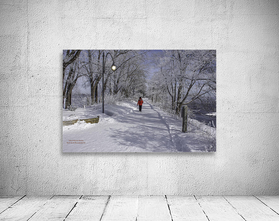 11468 Winter Wonder Wall Preview