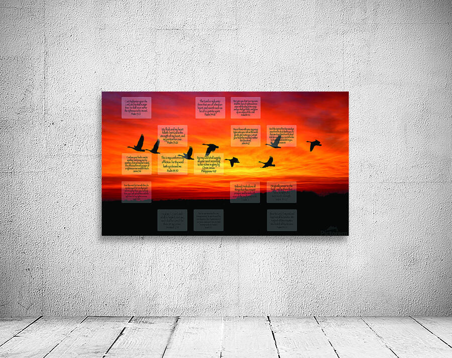 MNW5-GEESE Wall Preview