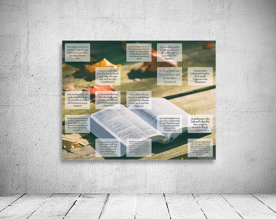 MNW6-IDENTITY Wall Preview