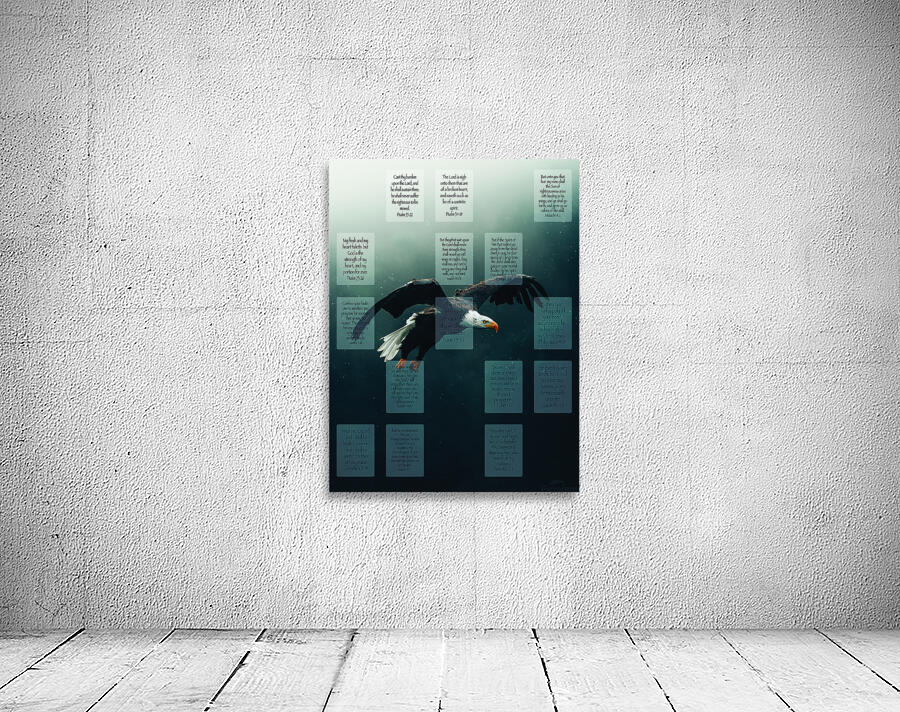 MNW10-EAGLE Wall Preview