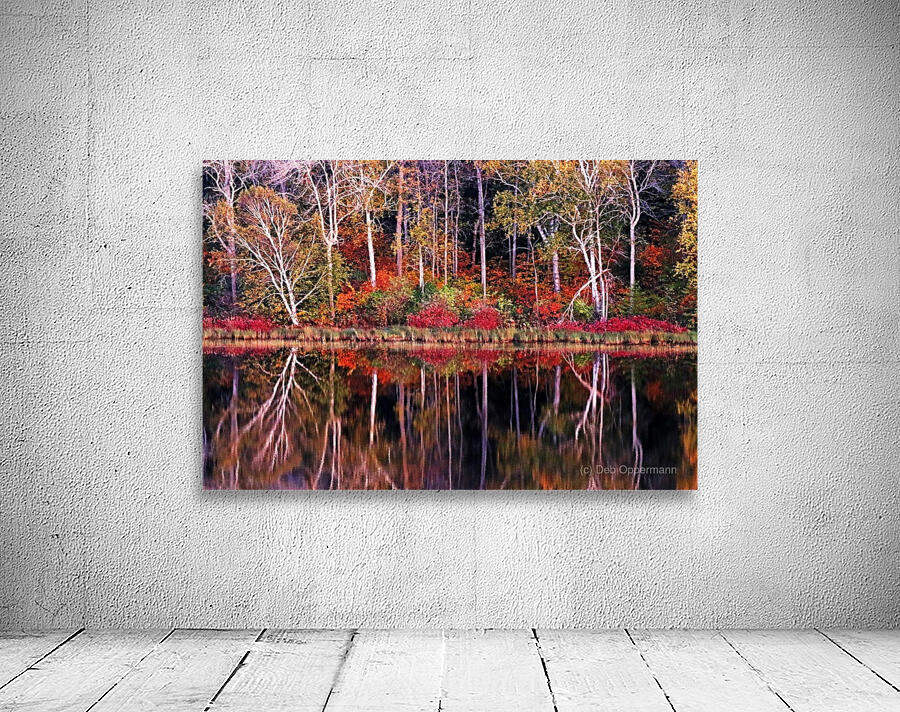 The Magical Season by Deb Oppermann