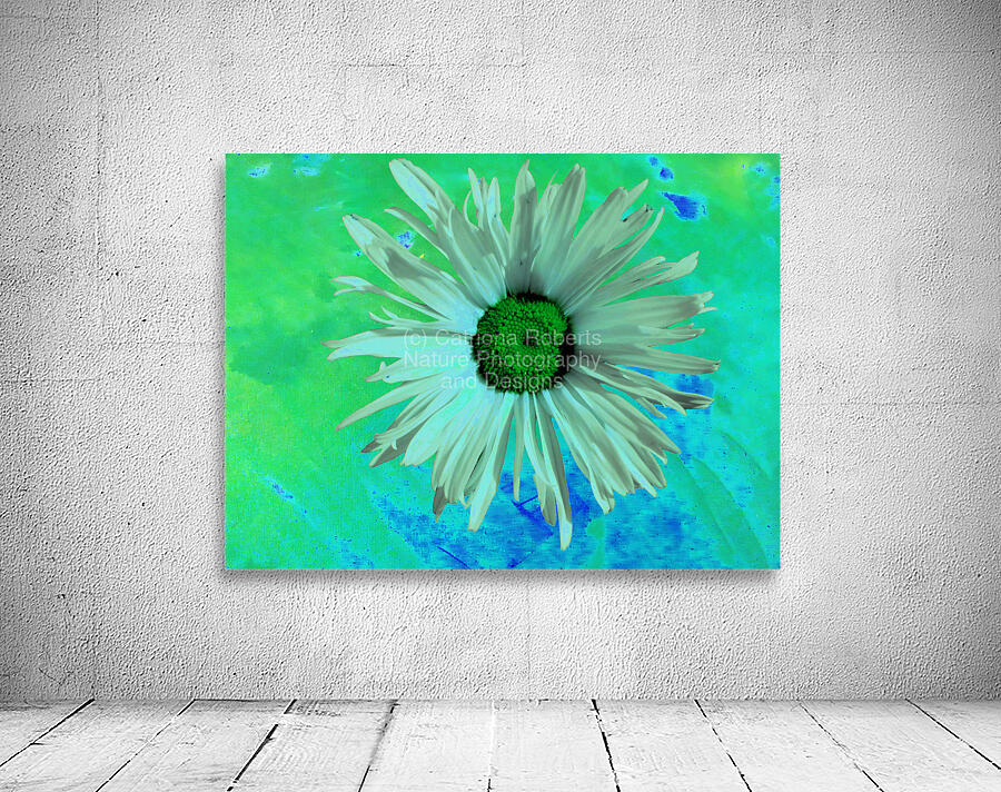 Abstract Surreal Green Daisy Wall Preview