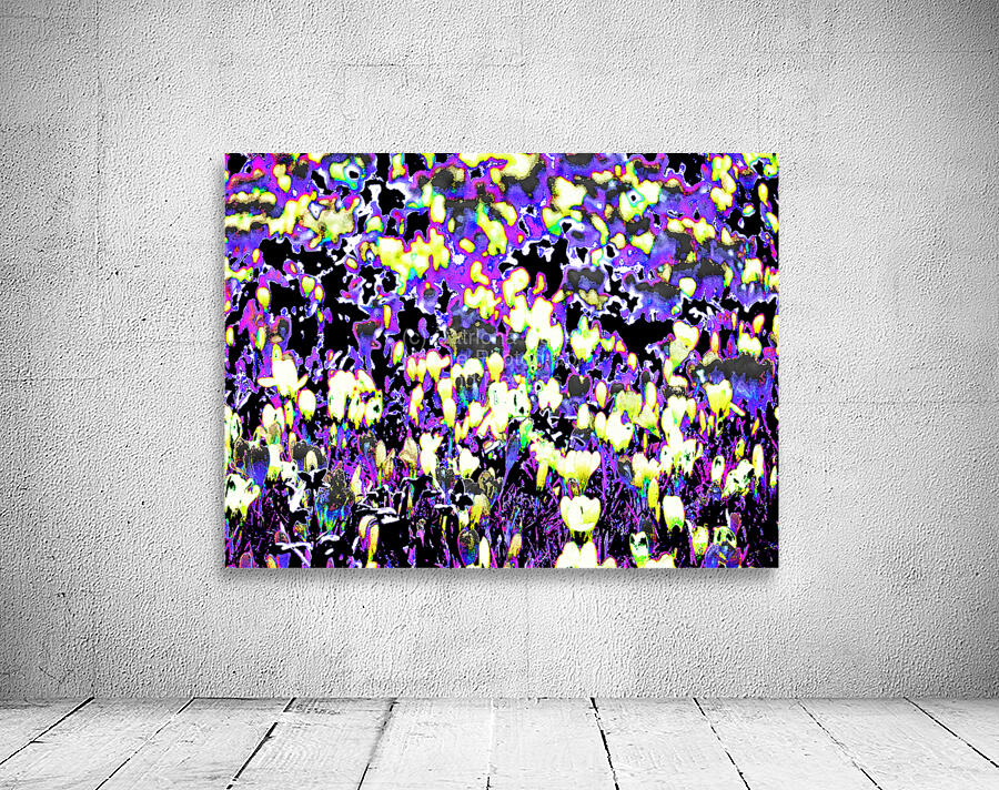 Abstract Crocus Dance                                                                                                 Wall Preview