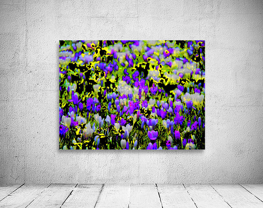   Abstract Vibrant Crocuses                                                    Wall Preview