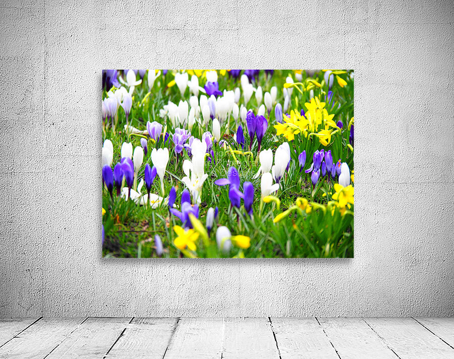 Spring Flower Meadow                                                                                                 Wall Preview