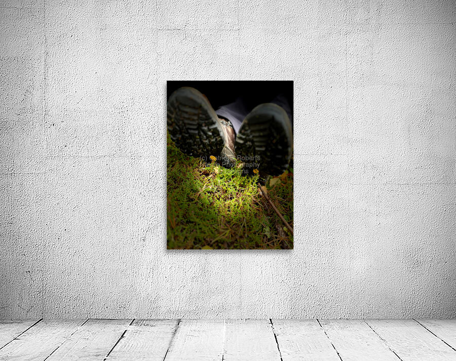 Scenes from the Trail- Rest Wall Preview