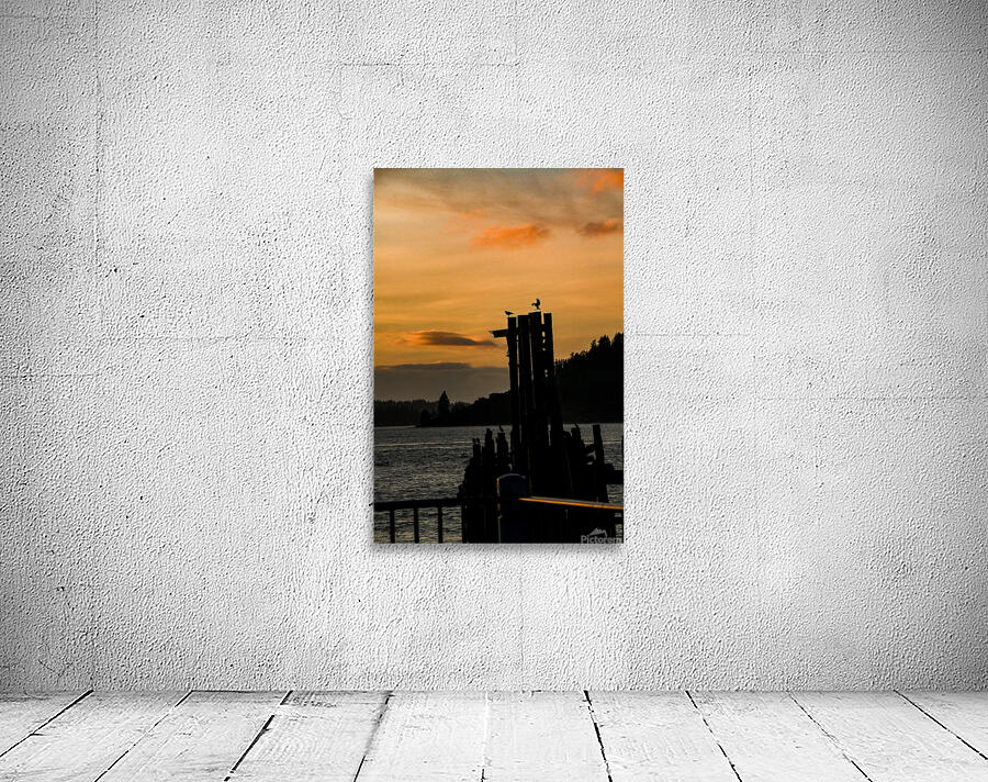 Z72 5951 Wall Preview