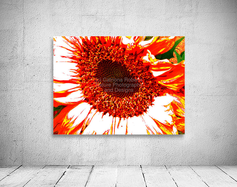 Abstract Vibrant Red Sunflower Wall Preview