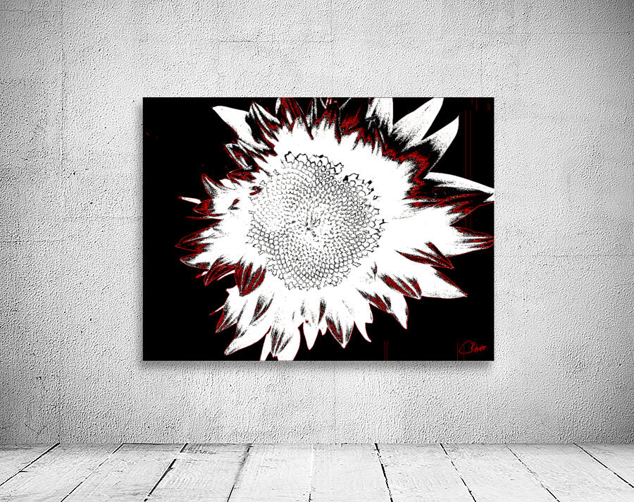 Abstract Contrasting Sunflower Wall Preview